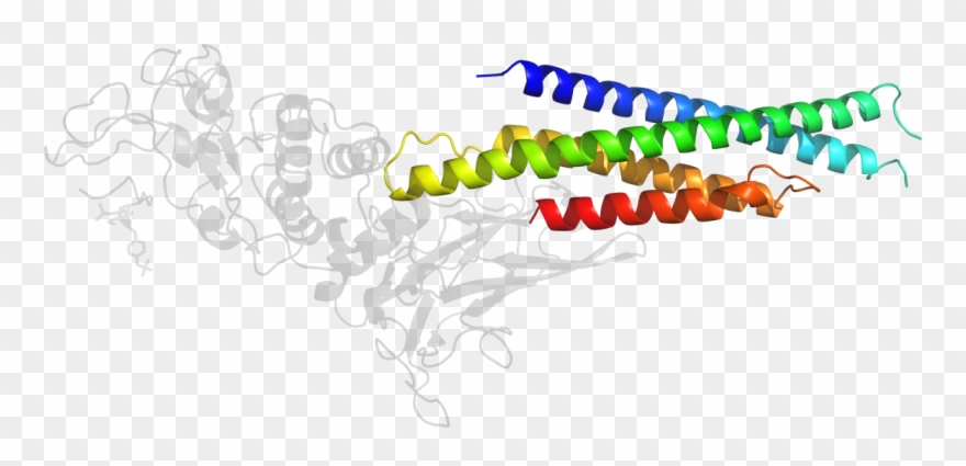 D1bg1a1 In Context Of Chain - Illustration Clipart