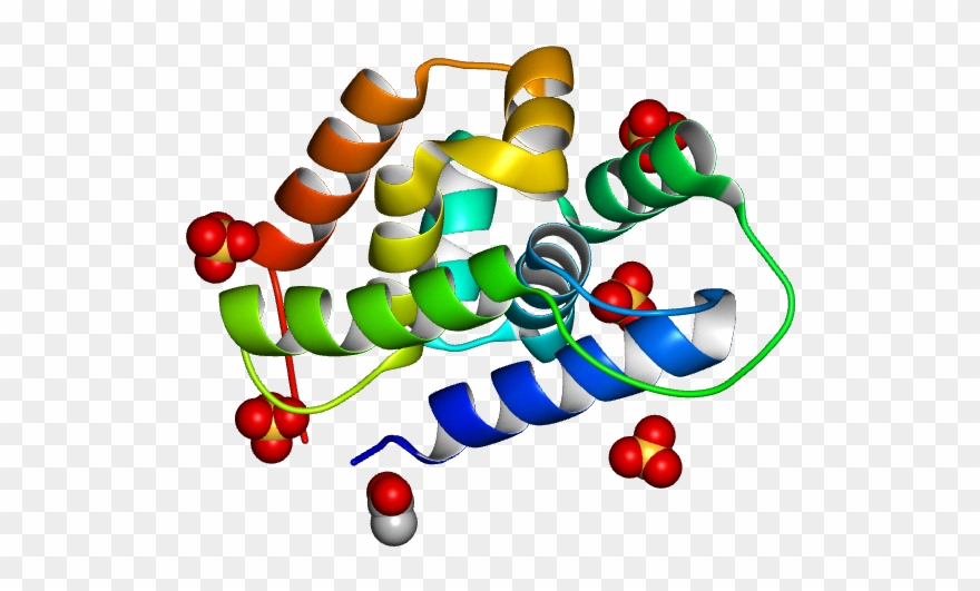 Database Information - Christmas Tree Clipart