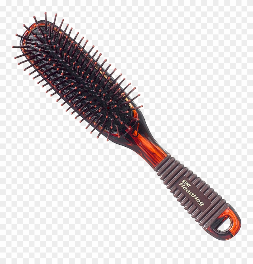 Kent Hog Range Head Hair Brush Clipart
