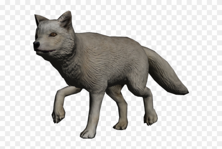 Portrait Fox Arctic Fox - Swift Fox Clipart