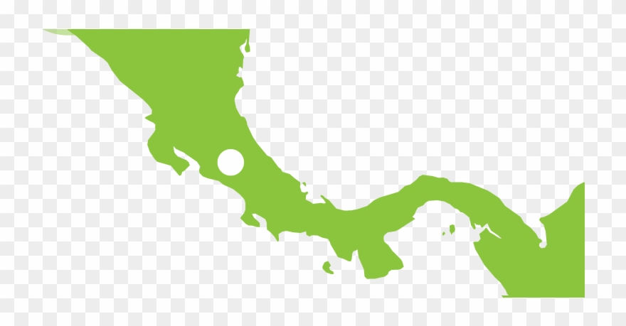 Each Pineapple Has A Guarantee Brix Level Throughout - Del Colegio Abel Bravo Clipart