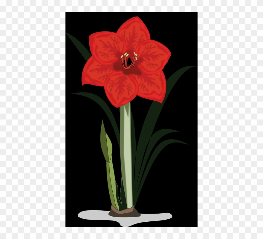 2 - Artificial Flower Clipart