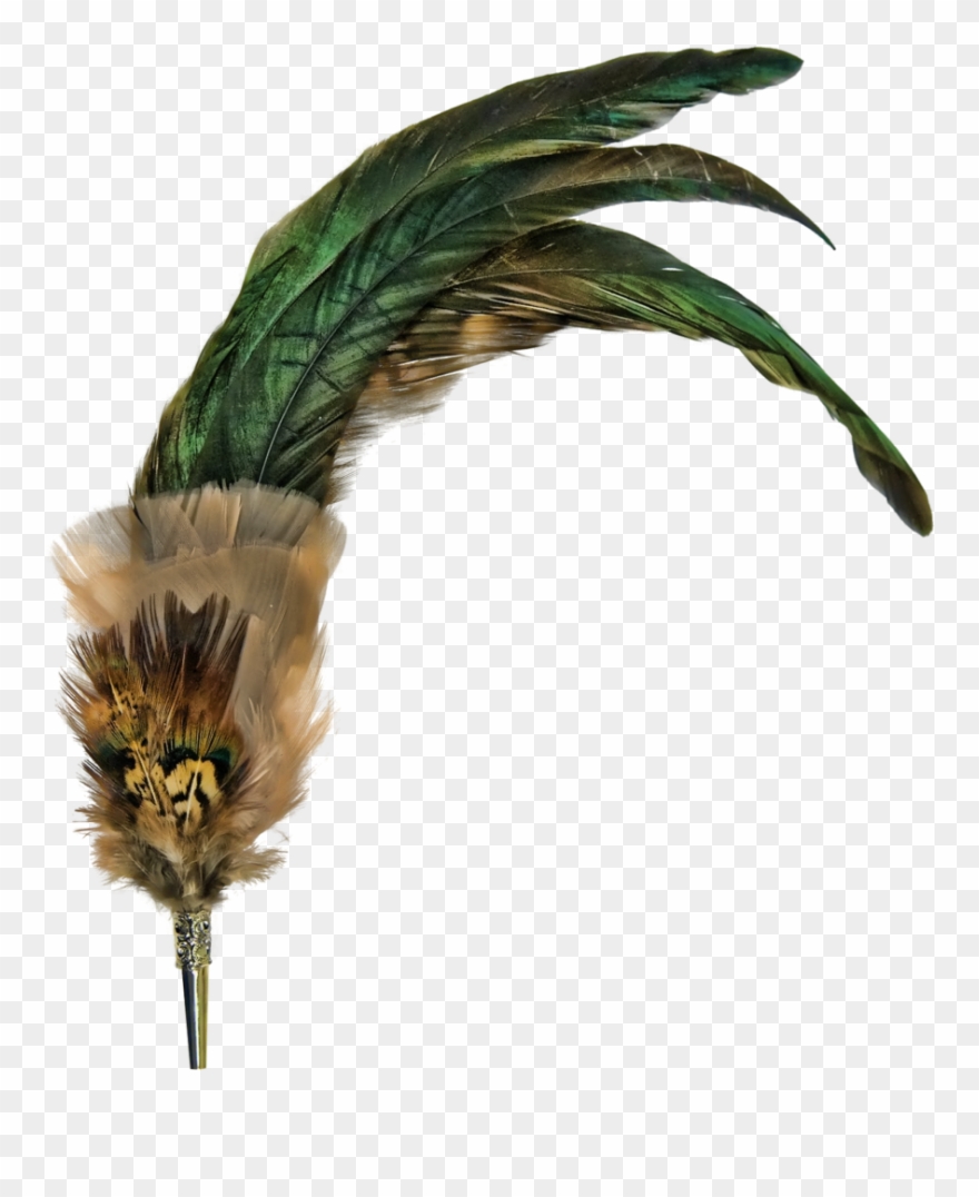 Transparent Feather - Feather Crown Transparent Clipart