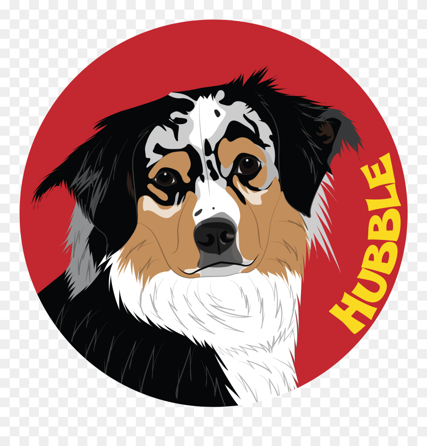 Bernese Mountain Dog Clipart