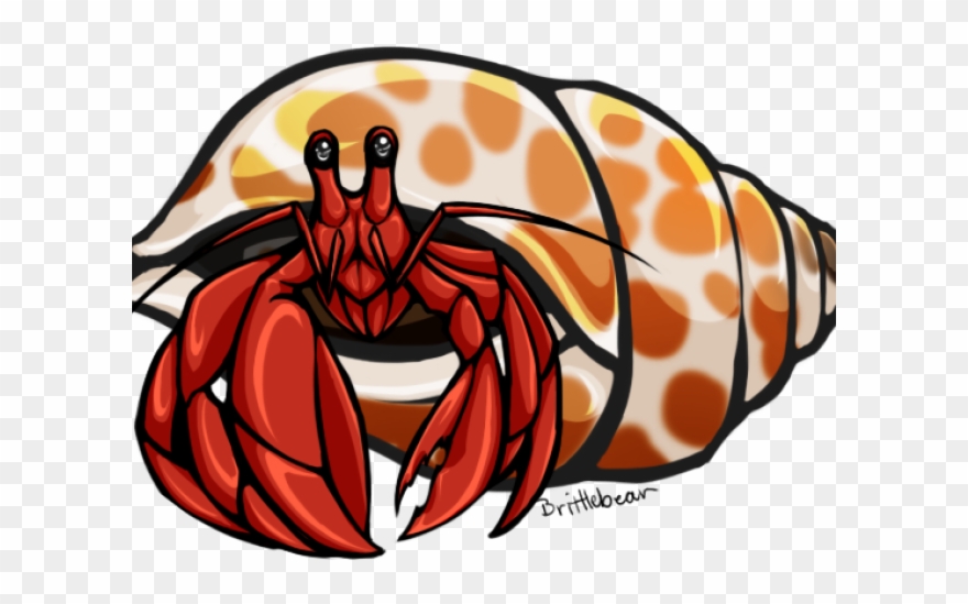 Crab Clipart Carson Dellosa - Clip Art Hermit Crab - Png Download