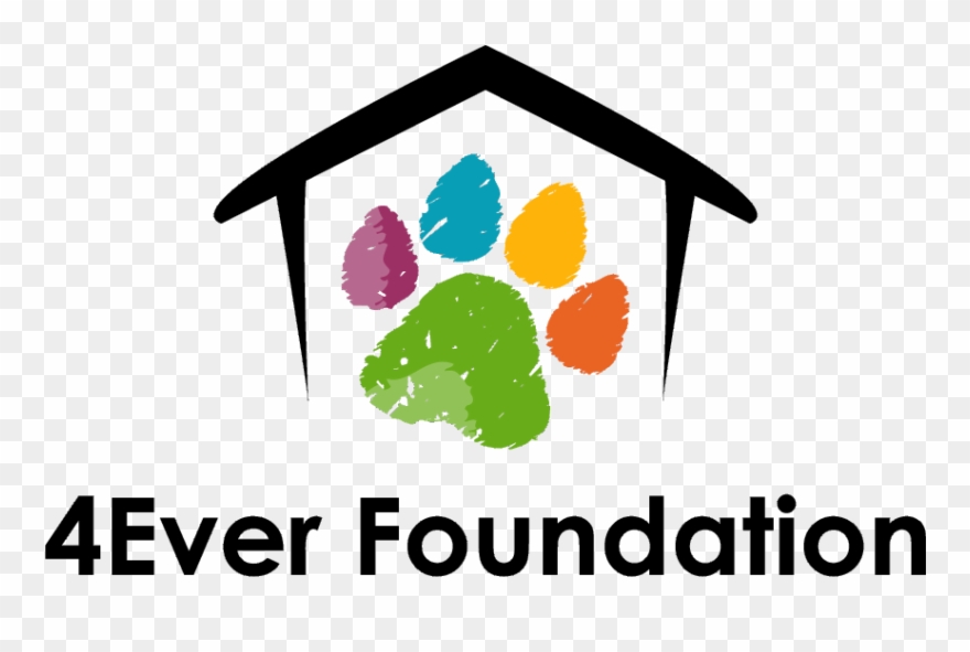 A Non-profit Organization Offering Cats & Kittens In - First National Real Estate Clipart