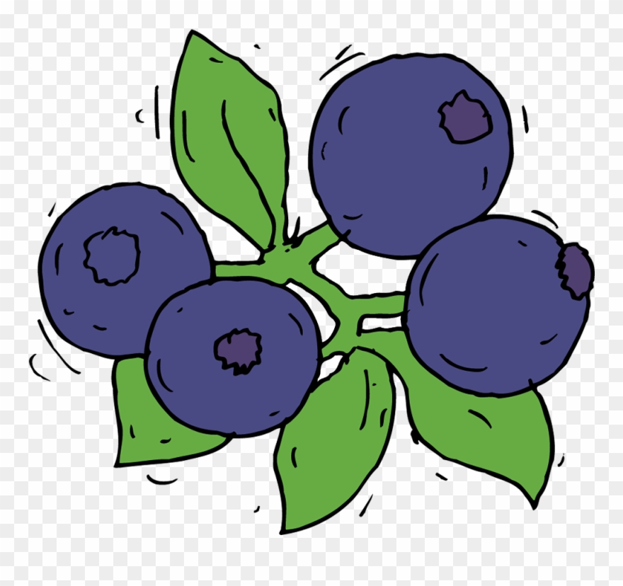 Blueberry - Collection - Fruit - Draw Blue Berry Clipart