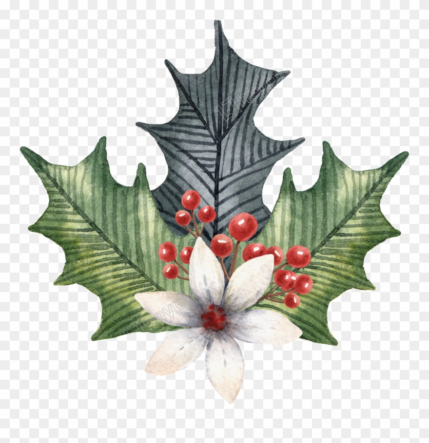 Holly Leaves Png - Illustration Clipart