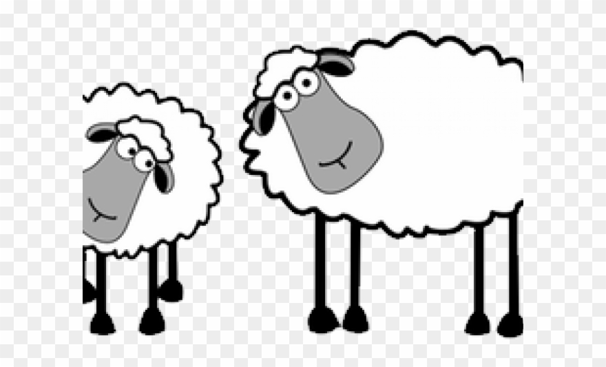 Drawn Sheep Herd Sheep - Cartoon Clipart