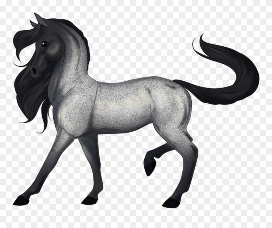 Here Is A Rare Horse That You May Only See Once In - Rare Pics Of Horse Clipart