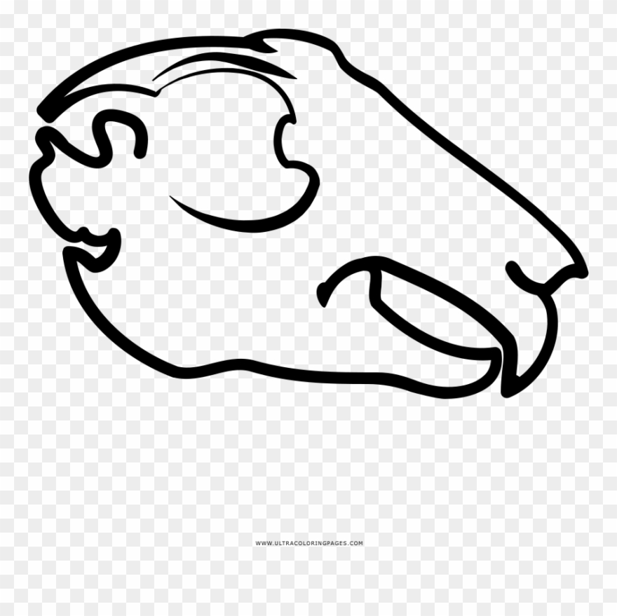 Animal Skull Coloring Page - Animal Skull Coloring Pages Clipart