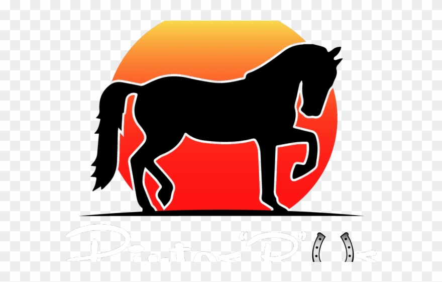 Rider Clipart Horse Trail Ride - Horse Silhouette Trick Riding - Png Download