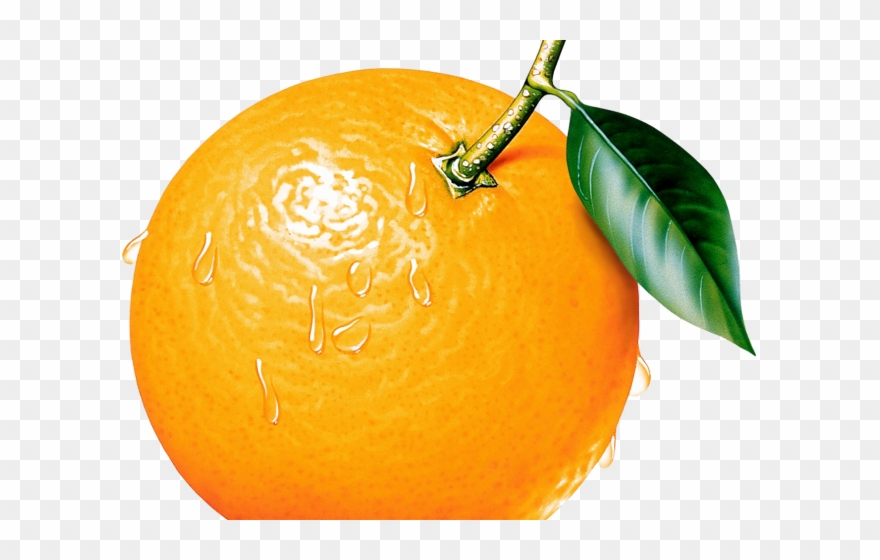 Mandarin Clipart Color Orange - Png Download