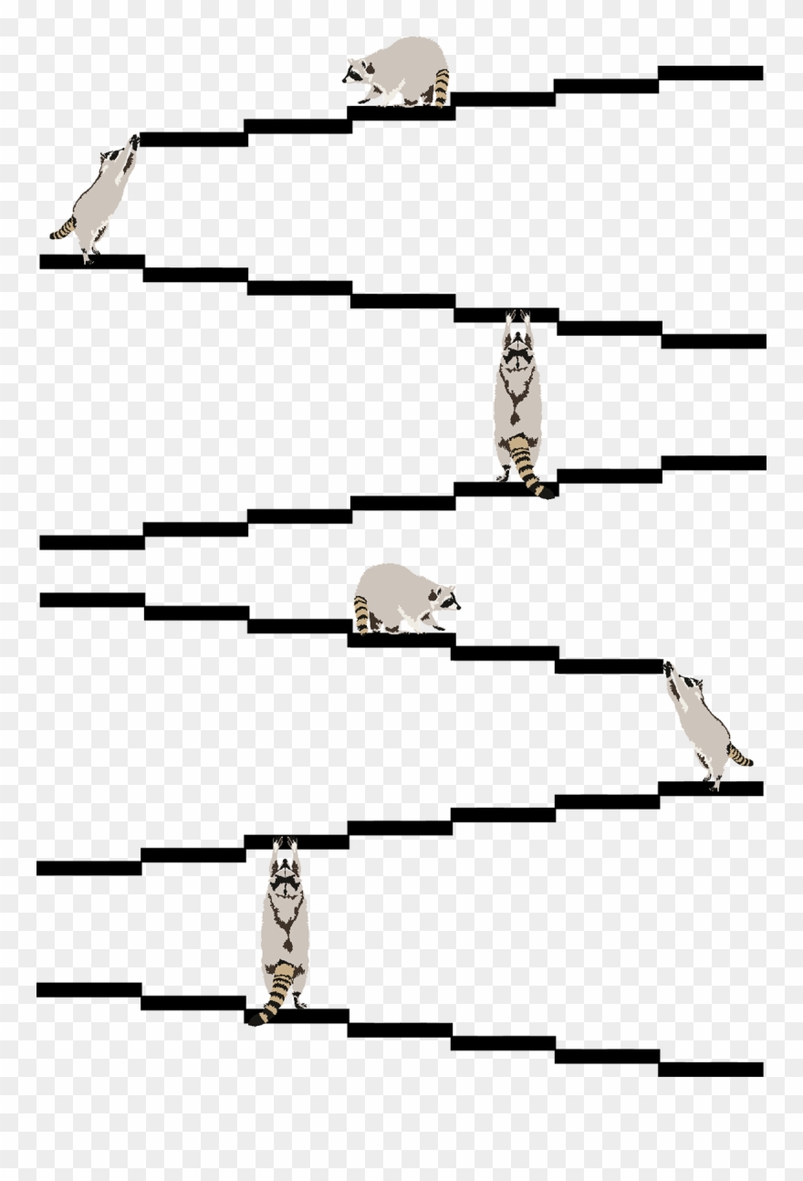 The Three Different Raccoons Also Work Individually - Owl Clipart