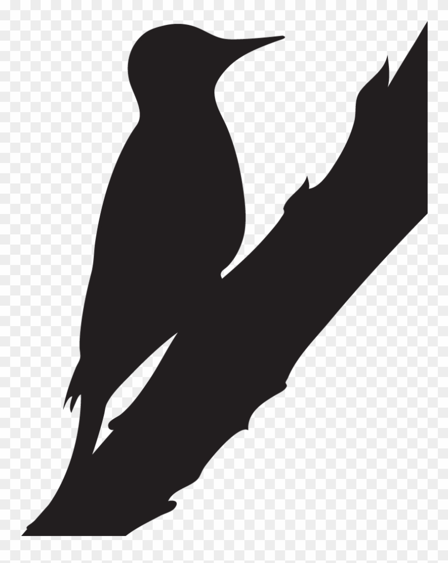 Woodpecker Silhouette - Woodpecker Black And White Clipart