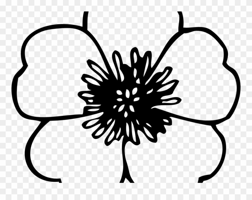 Free Black And White Flower Clipart - Poppy Flower Coloring Page - Png Download