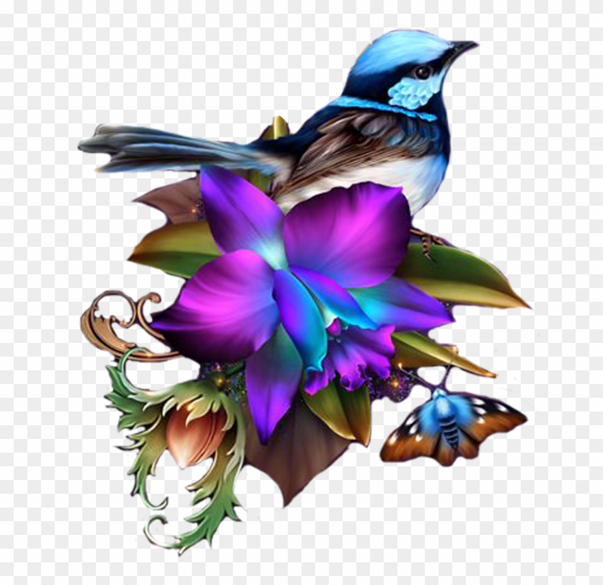 Фото, Автор Nat19591106 На Яндекс - Old World Flycatcher Clipart