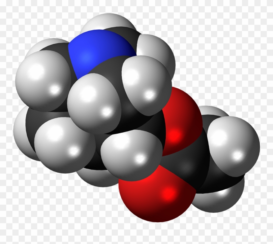 Graphic Design Clipart