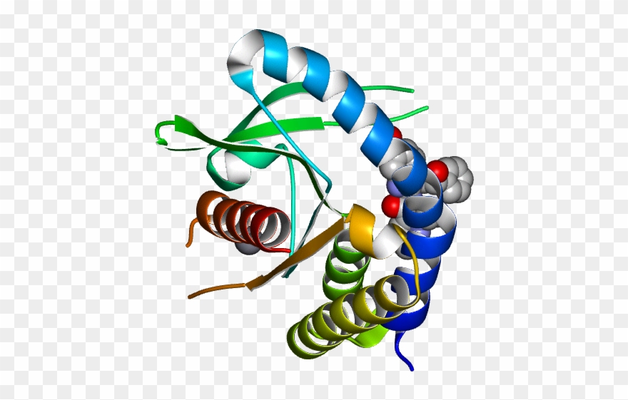 Molmil Generated Image Of 6dxg - Illustration Clipart