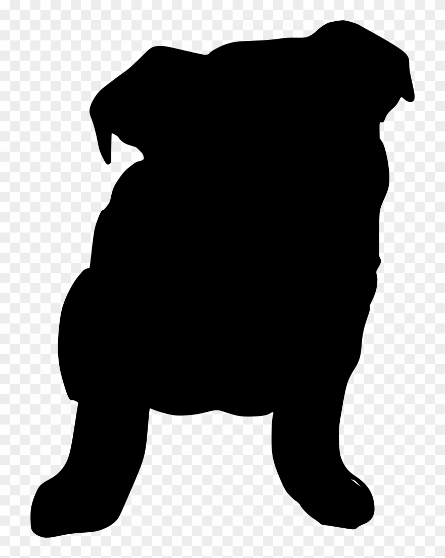 Download Png - Sun Bear Clipart