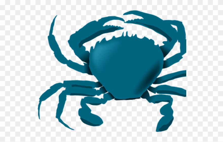 Animals Live In The Water Clipart