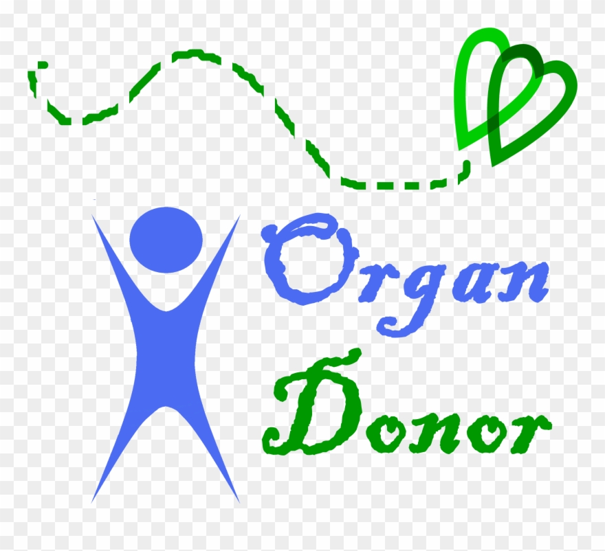 Organ Donation Symbol Clipart
