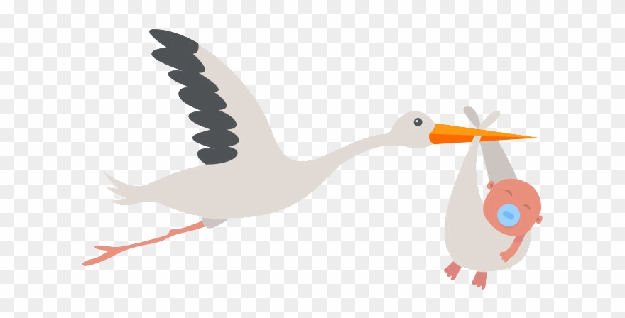 Stork Png Transparent Background - Duck Clipart