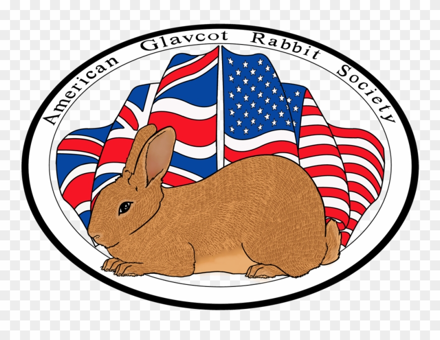 Picture - Domestic Rabbit Clipart