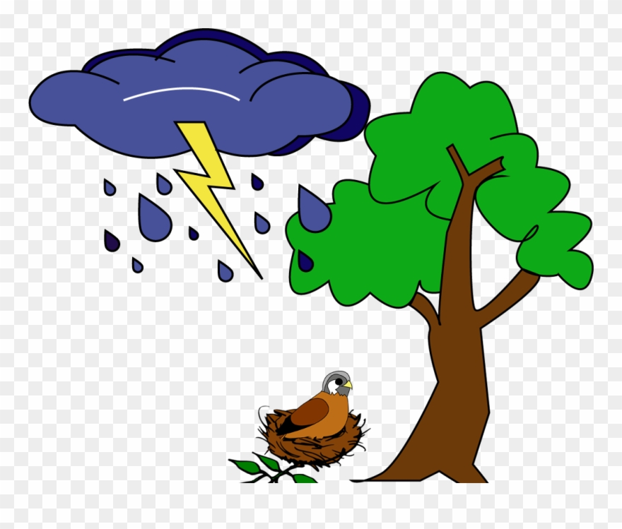 A Kestrel In A Nest That Just Got Knocked Out Of A Clipart