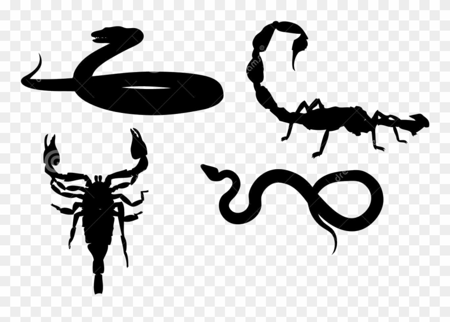 Bio Anti Nuisible Dératisation Désinsectisation - Snake And Scorpion Clipart - Png Download