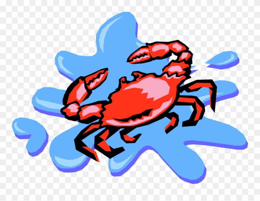 Vector Illustration Of Decapod Marine Crustacean Crab - Animated Puddle Of Water Clipart