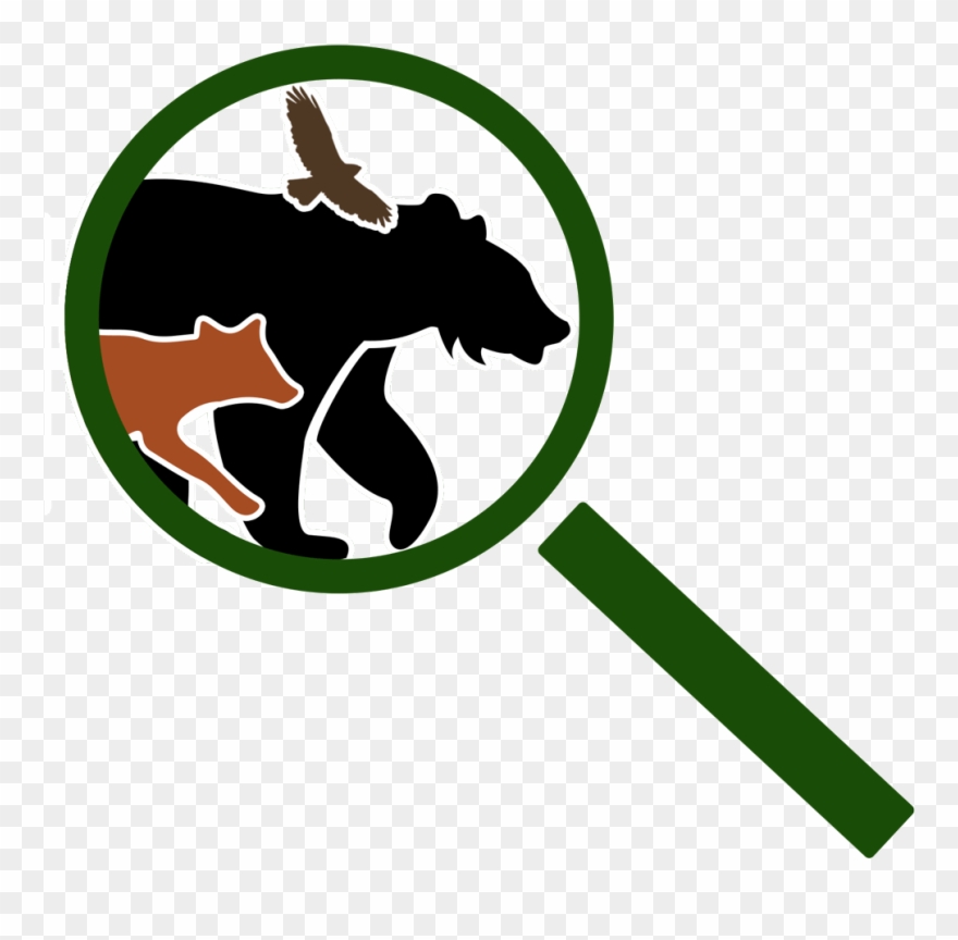 Naturespy Is A Social Enterprise Specialising In Camera - Outrunning A Bear Clipart