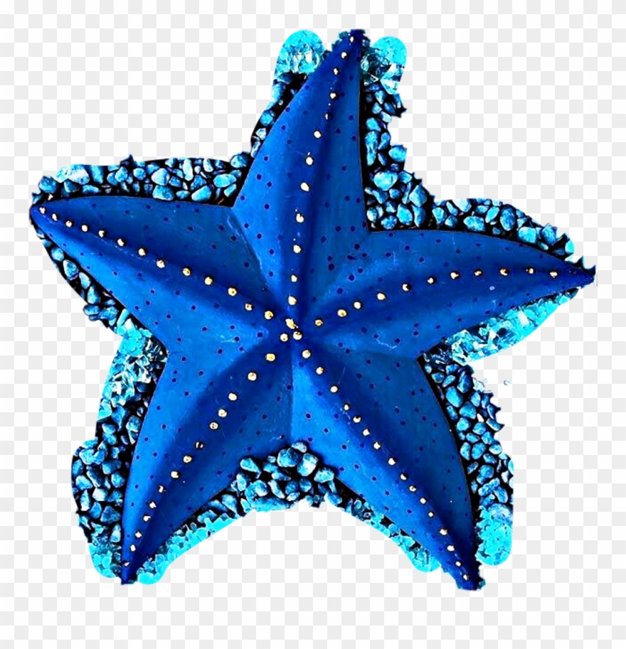 Scseacreatures Sticker - Different Shades Of Blue Clipart