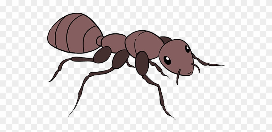 Posts - Carpenter Ant Clipart
