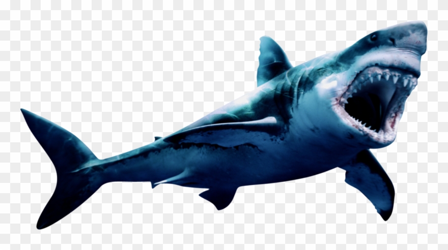 Megalodon Png Pic - Transparent Megalodon Png Clipart