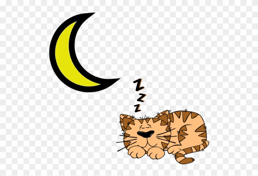 Měsíčkové - Cat Sleeping Cartoon Clipart