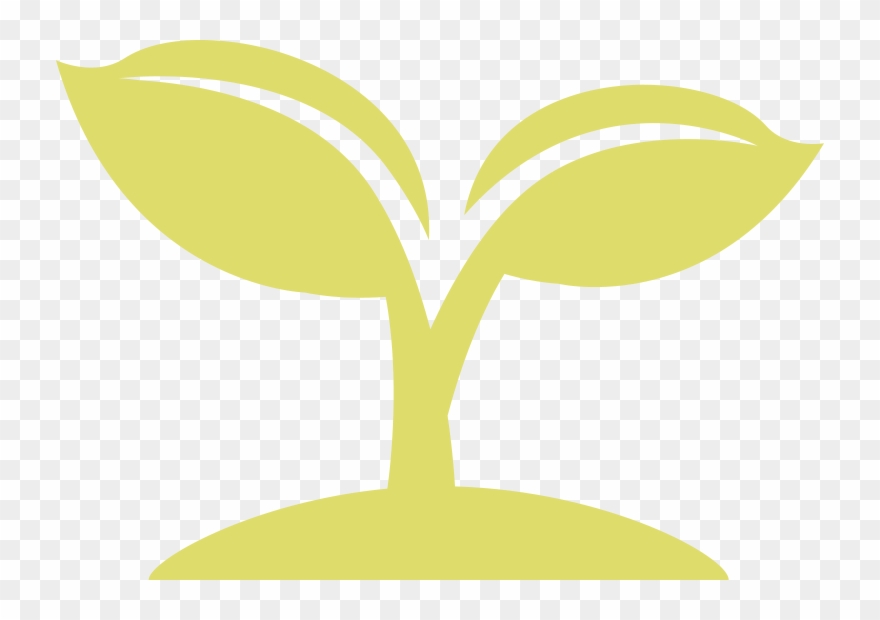 On June 6, 2017, The Board Of Supervisors Adopted An - Illustration Clipart