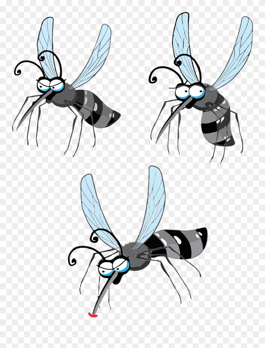 Midges - Cartoon Flying Mosquito Png Clipart