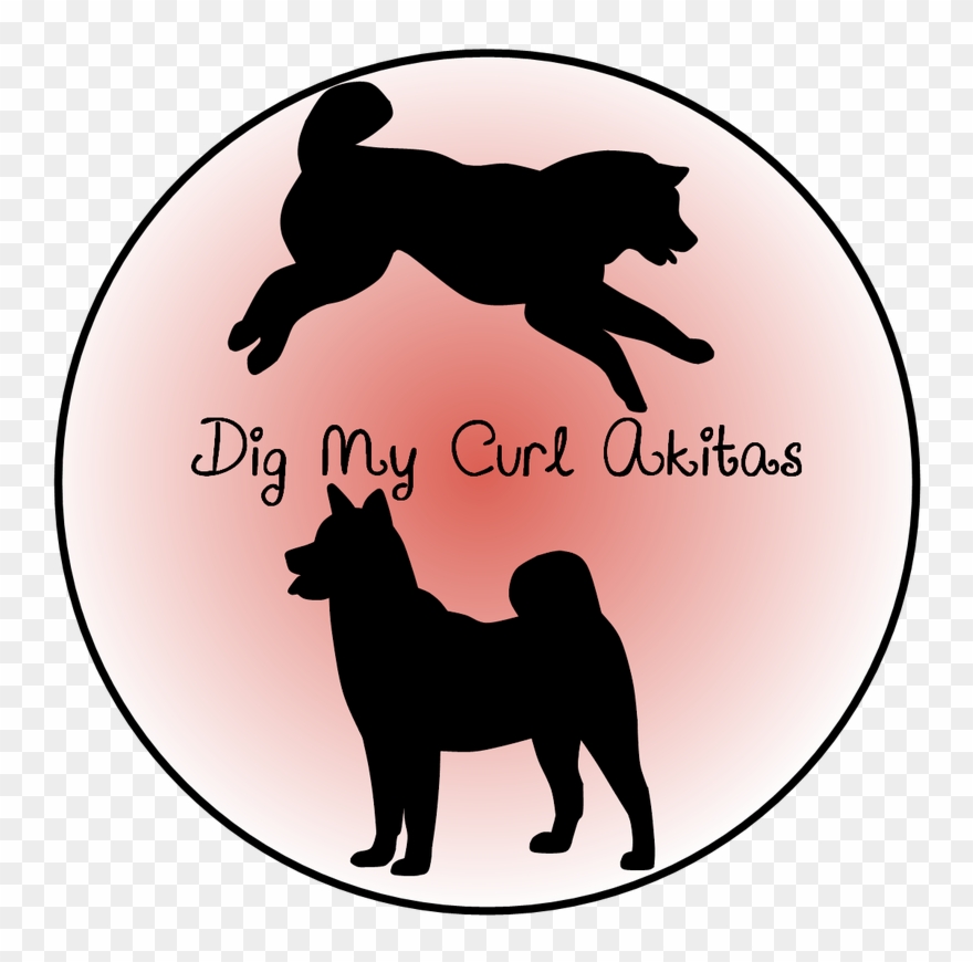 Black Norwegian Elkhound Clipart
