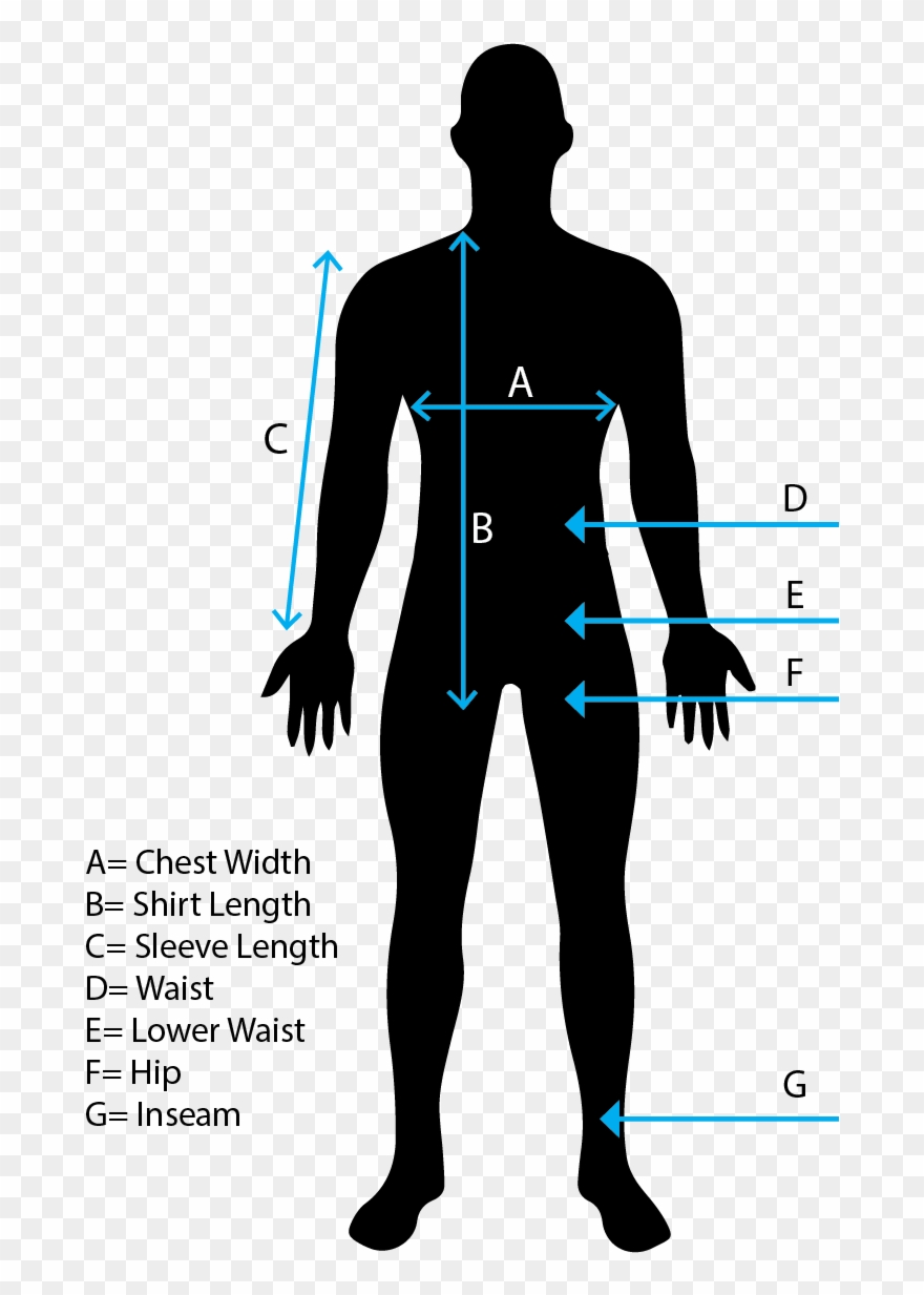 Short Pant - Illustration Clipart