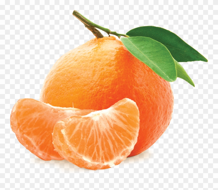 Fruits Transparent Mandarin Clip Art Transparent Download - Mandarina Png