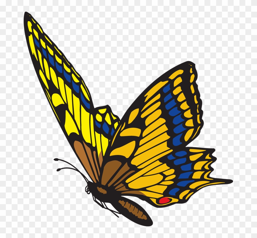Diamonsforever31 - Blogspot - - Flying Butterfly Clipart Png Transparent Png