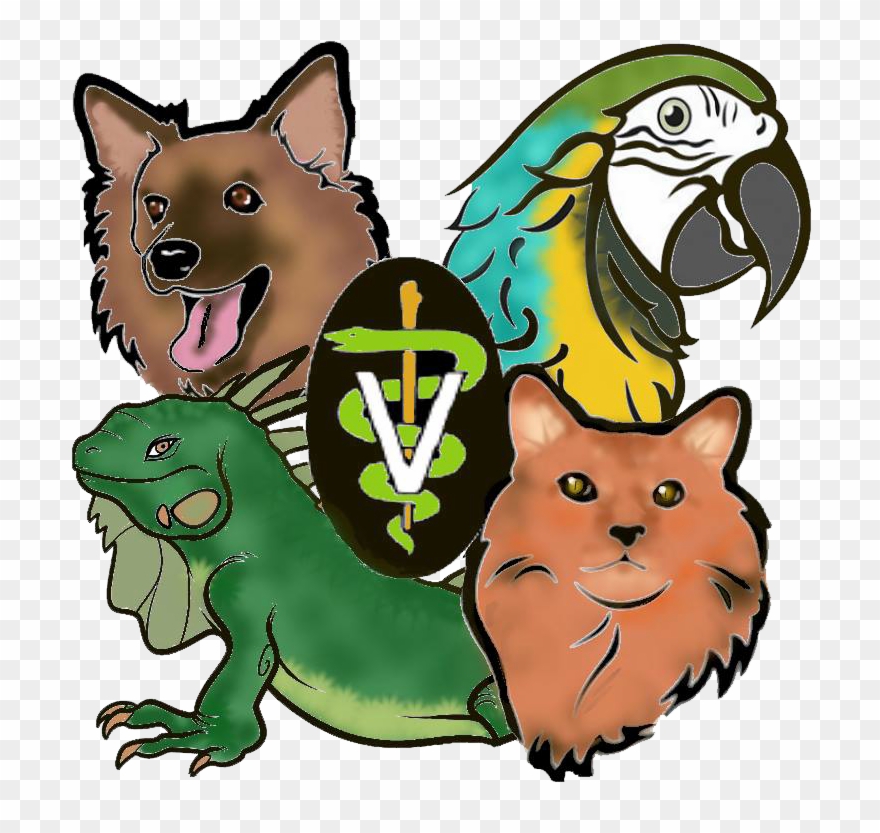 Special Services - Animal Medical Hospital Of Centereach Clipart