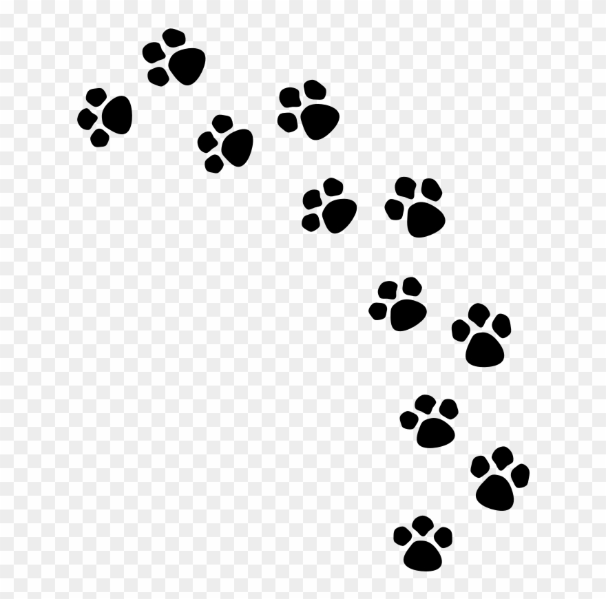 Shelley Veterinary Hospital - Gray Paw Print Background Clipart