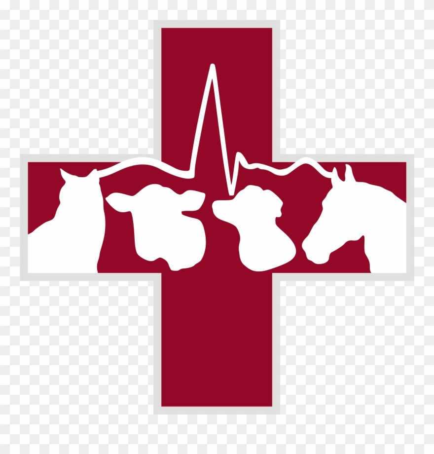 Png Free Stock Pemberton Veterinary Hospital Mixed - Large Animal Vet Logo Clipart