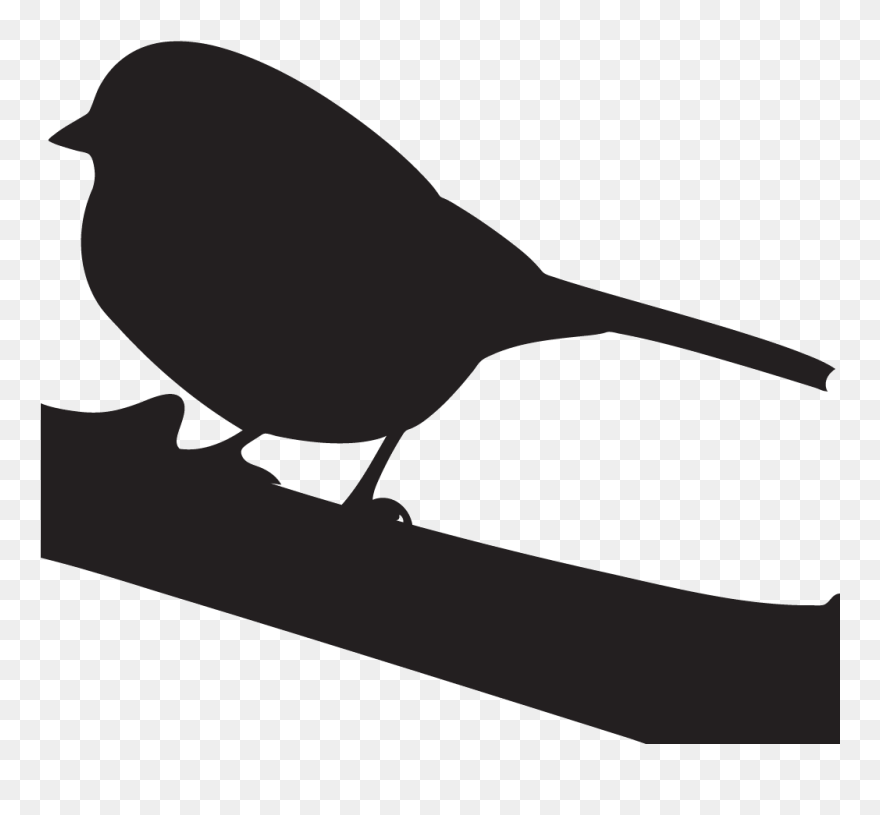 Harris's Sparrow Overview, All About Birds, Cornell - White Crowned Sparrow Silhouette Clipart