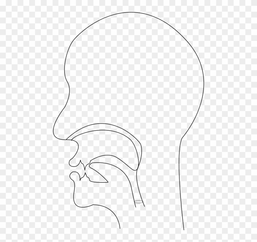 Free Midsagittal S - Nasal Consonant Clipart