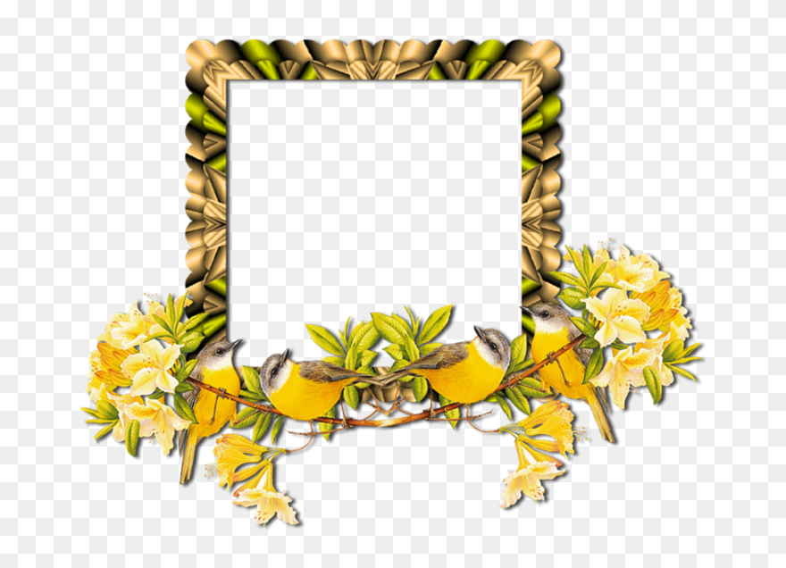 Download - Picture Frame Clipart