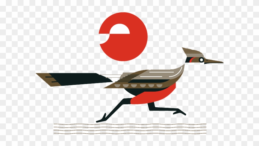 Roadrunner Clipart Bird - Roadrunner Illustration - Png Download
