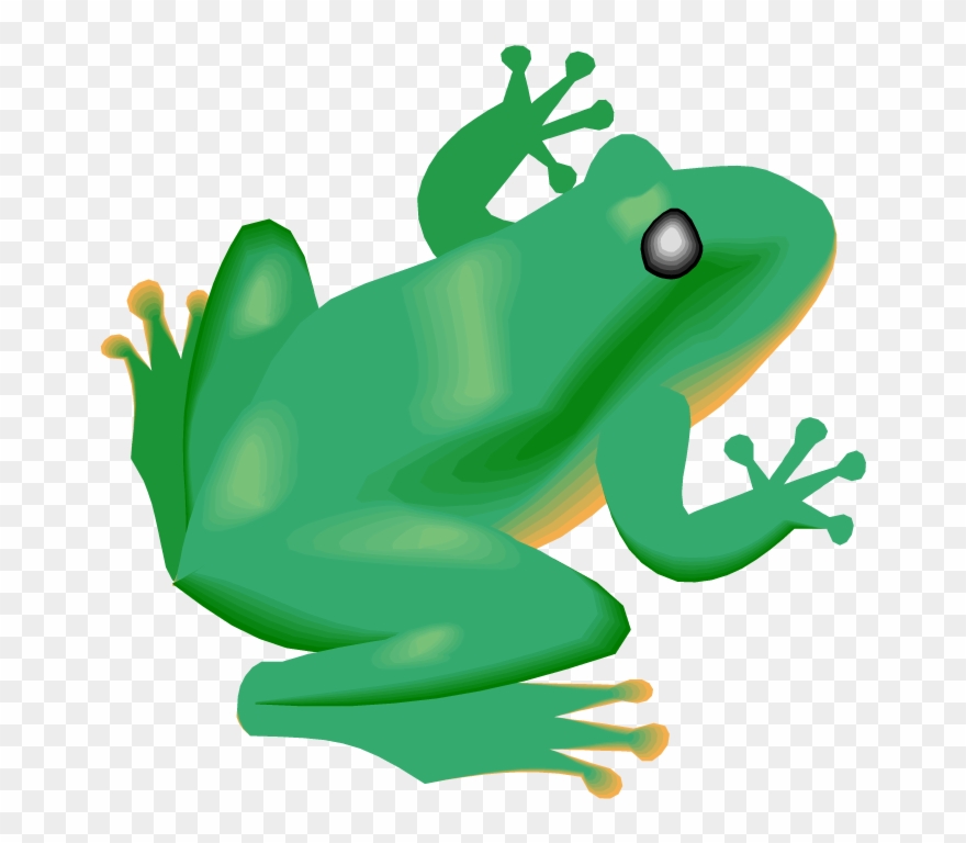Free Frog Clipart - Conclusion About The Frog - Png Download